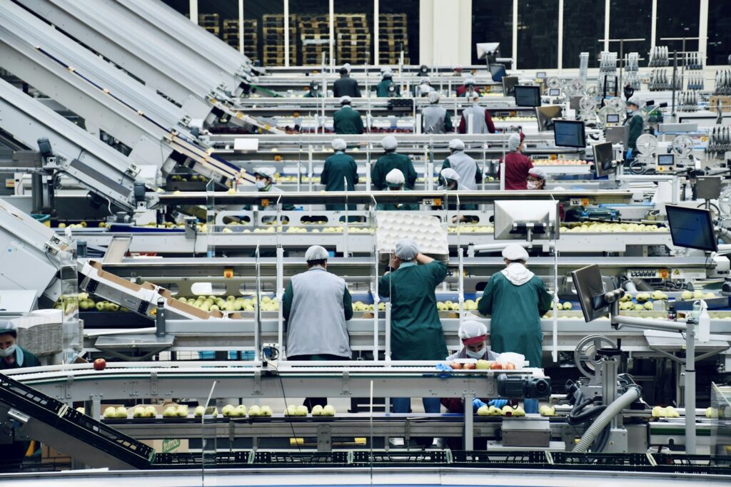 A group of people working in a food production facility